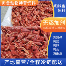 蛇狐狸饲料肉食动物特养饲料冷冻小鸡仔蛇粮鹰龟喂养