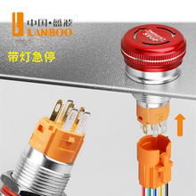 {F؛ֱl22M4َɫpɫĢ^Dͣ_P