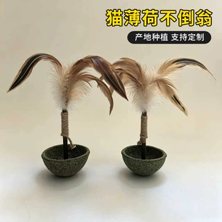 猫薄荷玩具不倒翁宠物玩具磨牙玩具新品逗猫棒逗猫玩具磨牙棒零食