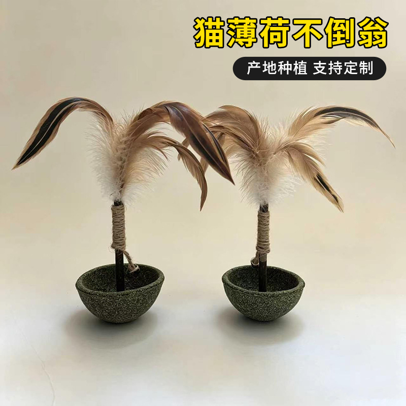 微信图片_20260609110659_1117_781 -