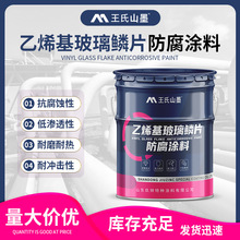 乙烯基玻璃鳞片涂料 污水处理设备船舶外壳保护防腐漆 厂家供应