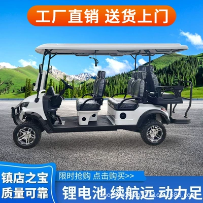 Elektrikli qolf avtomobilləri Four-Wheel Sightseeing Car, Hotel