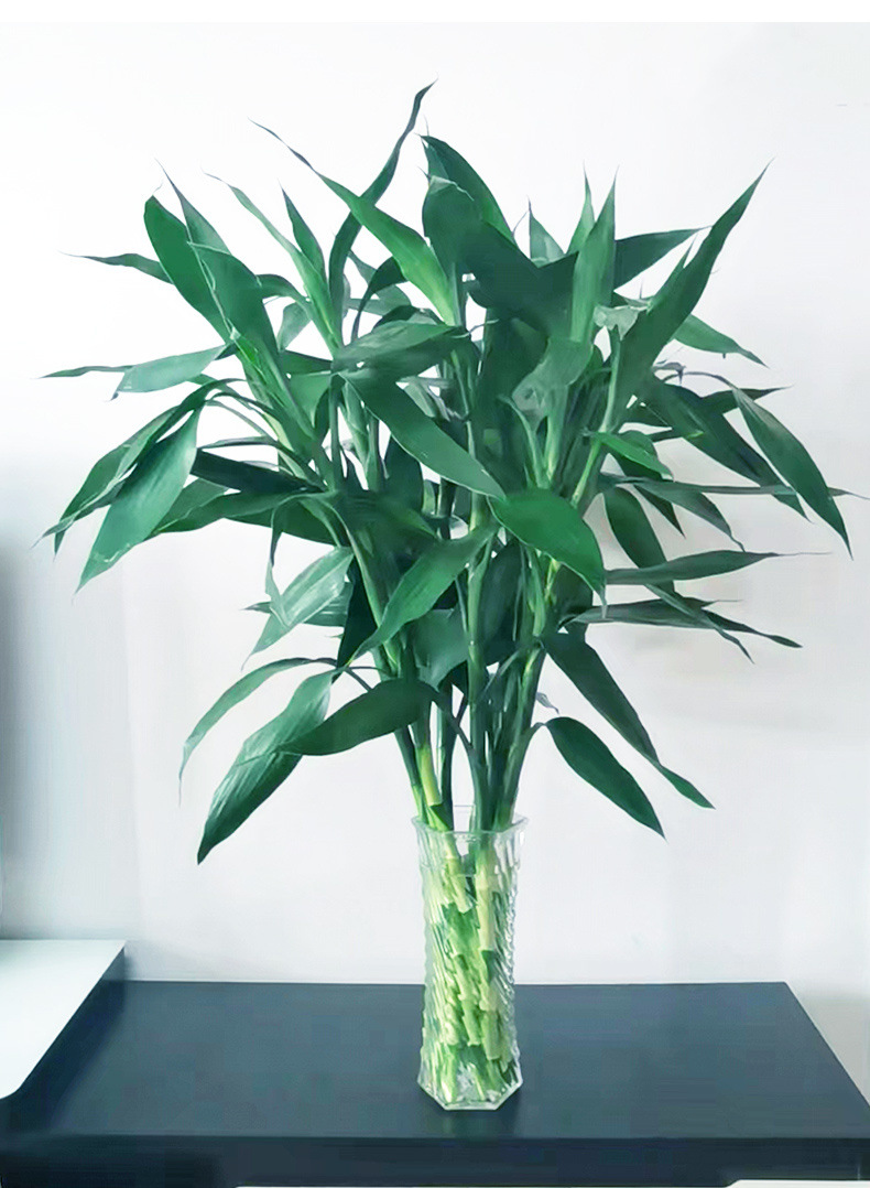 4103d8eb-16aa-4e18-91c0-419fabe23e61.jpe