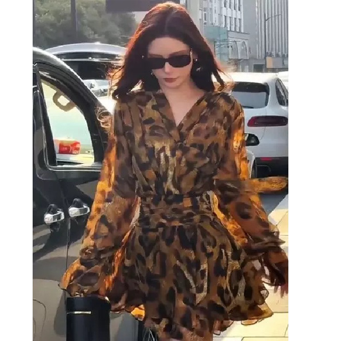 Mature Style V-Neck Leopard Print Dress 2025 Autum Popular Style Slimming Look Waist Pleated Lace-Up Dress Trendy Mature Style V-Neck Leopard Print Dress 2025 Autum Popular Style Slimming Look Waist Pleated Lace-Up Dress Trendy