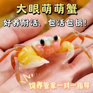 �ͻ���з��з�з��B�ɐ�ɳз�W�t�ײʹ��ۻ��w�^�pз����