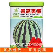 善高美都西瓜种子早佳8424早熟圆形花皮麒麟西瓜薄皮脆甜杂交西瓜