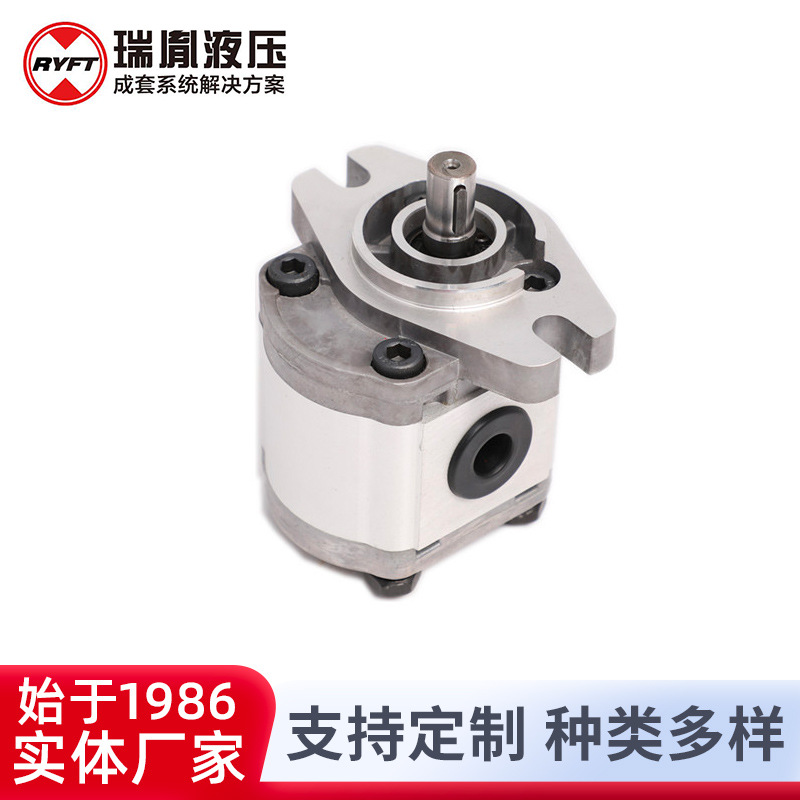厂家供应液压系统瑞胤 液压高速低扭矩 齿轮泵
