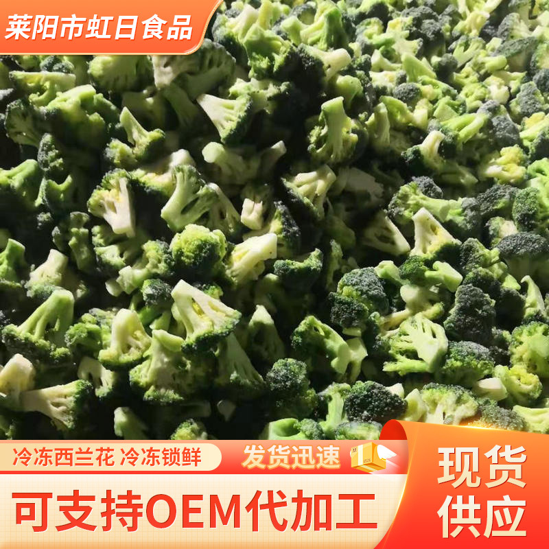 厂家批发  冷冻绿花菜 速冻绿花菜 速冻西兰花 冷冻西兰花