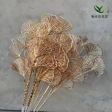 ��ɫС���y���~���滨��С���ȼ����}�Q��������Ͱ�������l�S��