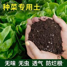 通用花土疏松透气营养土种菜专用土养花土家用栽花土壤营养土50斤