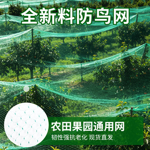 �羳�Gɫ���B�W�D��PE���@���o�W�����Bֳ�r�B�W���ϻ���Ҏ����
