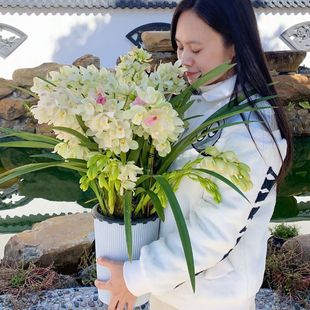 ���� ���m �_���� �҃������m�� ���ھ� ���B