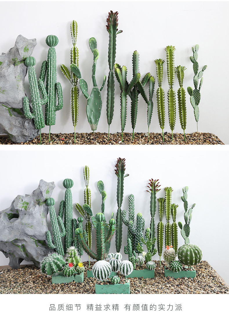 仿真小仙人柱系列_06.jpg