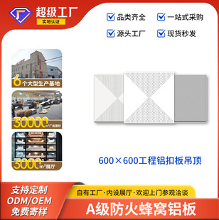 ���޼��ɵ���X�۰�300&times;300�N���l���g���g��d�X�۰��컨����