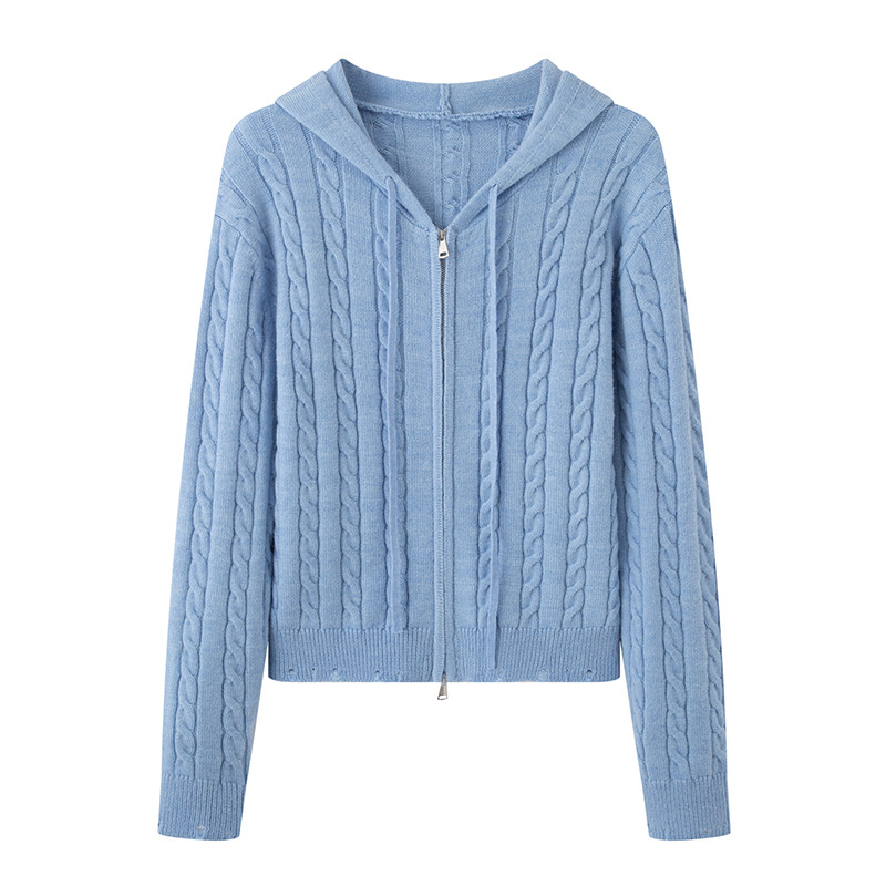 2025秋季新款纯色绞花长袖连帽针织衫上衣女4G9131261