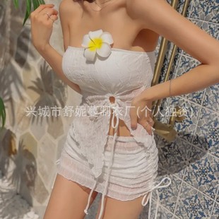 2025 South Korea Spring and Summer New Bikini Split Swimsuit Women's Three-Piece Sexy Small Chest Seaside Vacation Swimsuit