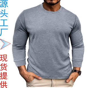 ���Q�羳���b2023�ﶬ���ɈA�I�L��t�� �W����ʿ�A�����A��T��