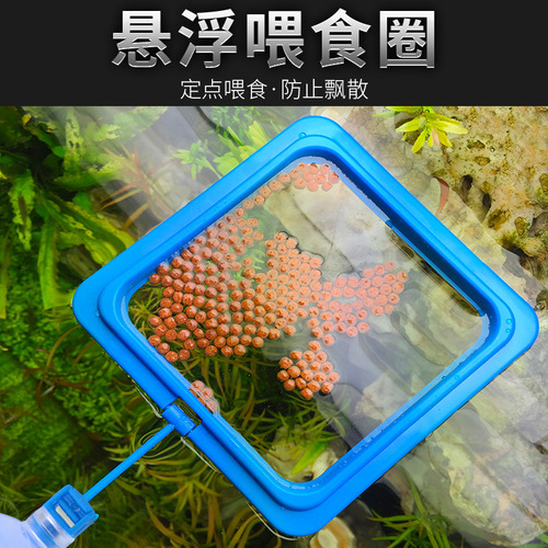 Fish food feeding circle, feeding circle, aquarium feeding circle, fish tank feeding circle, tropical fish, fish grain, fish feed feeder