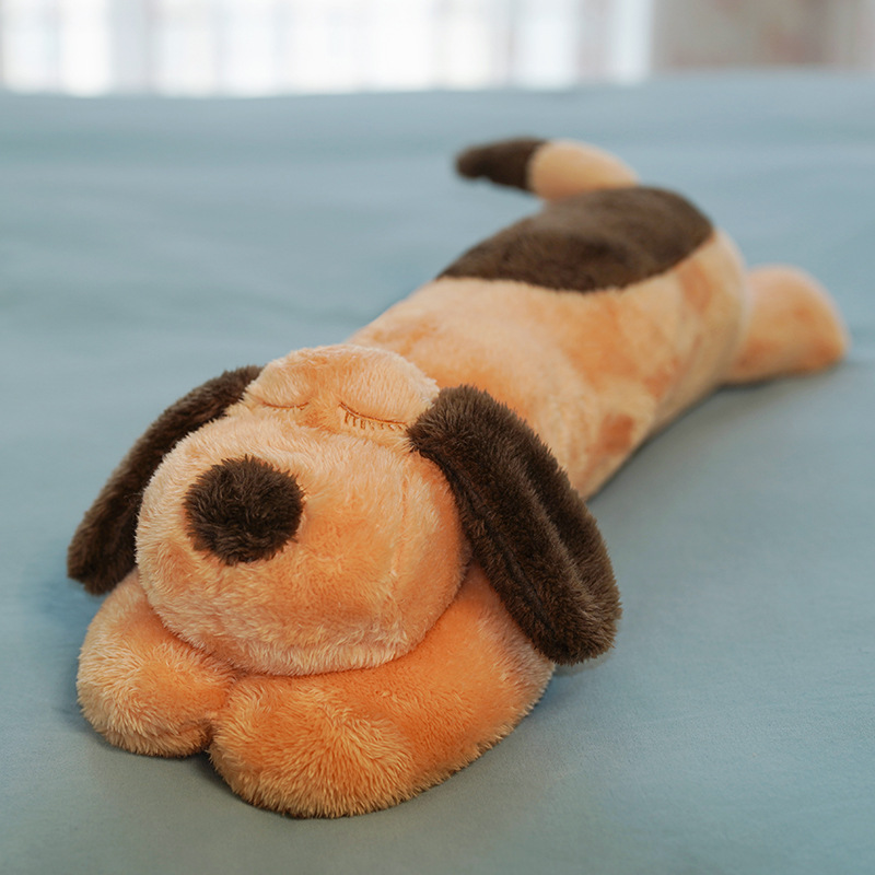 Dormir marrón (perro acostado)
