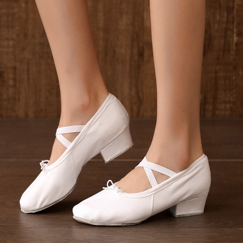 Dance Shoes for Women, Soft Sole with Heel, Teacher Shoes, Practice Shoes, Adult Ballet, Yoga, Gymnastics, Classical Dance, Black Heels, Wholesale