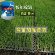 ����늼ӟᾀ�ؿ����߲˴�����ҿ՚�Ӝؾ��؟�؜ؾ�����