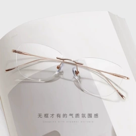 框架眼镜;太阳镜;眼镜片