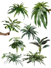 ާ���~���~���f������Ƥ����m�����̨���̾G����ֲ���b�