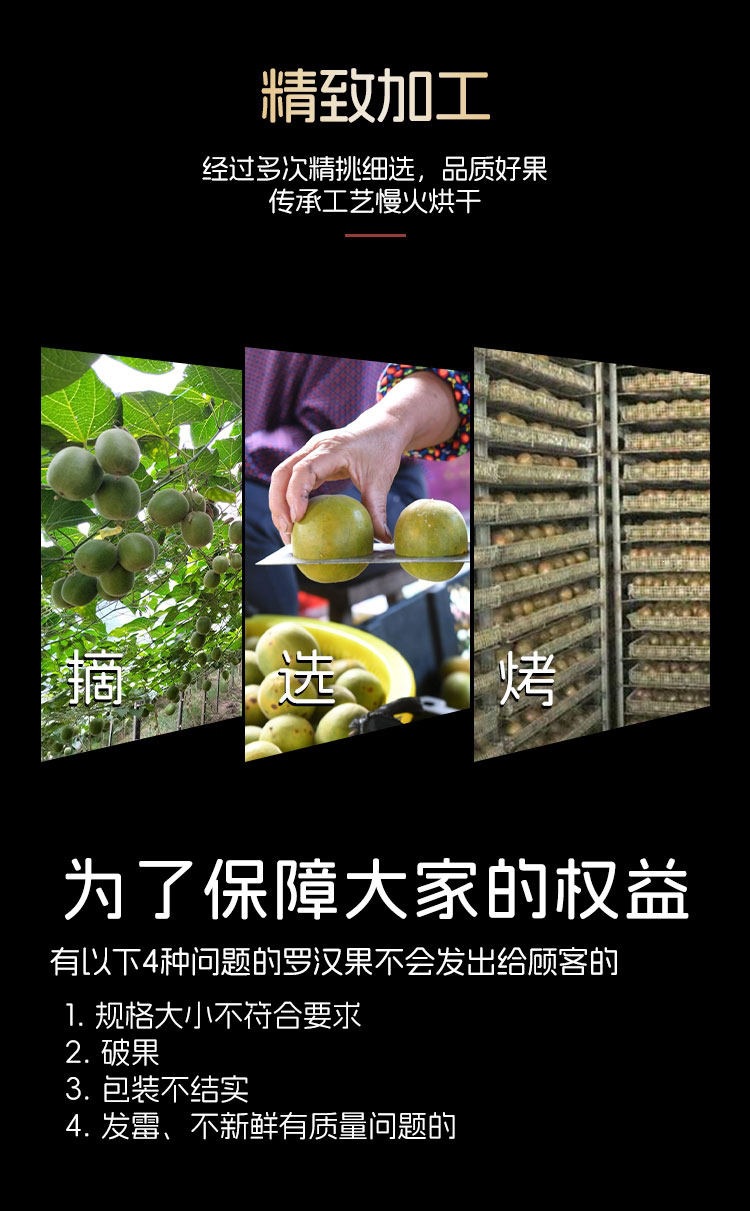 Dried Luo Han Guo Monk Fruit Whole Pods 20-30mm Guangxi 2024 Harvest Herbal Tea Ingredient in use