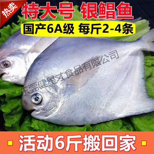 �y�K�~�������K�~ƽ�~���~���r������rˮ�a���l���Q���uͨ