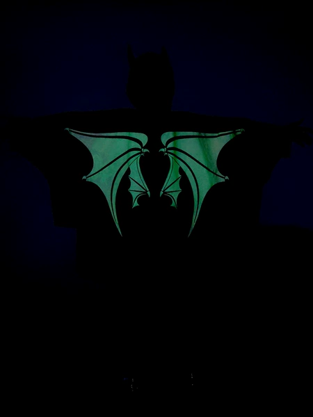 Preview