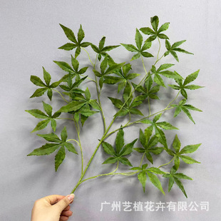 ����ֲ������~�������~�ļ��ô�����쾰�Ƶꙻ���b��������