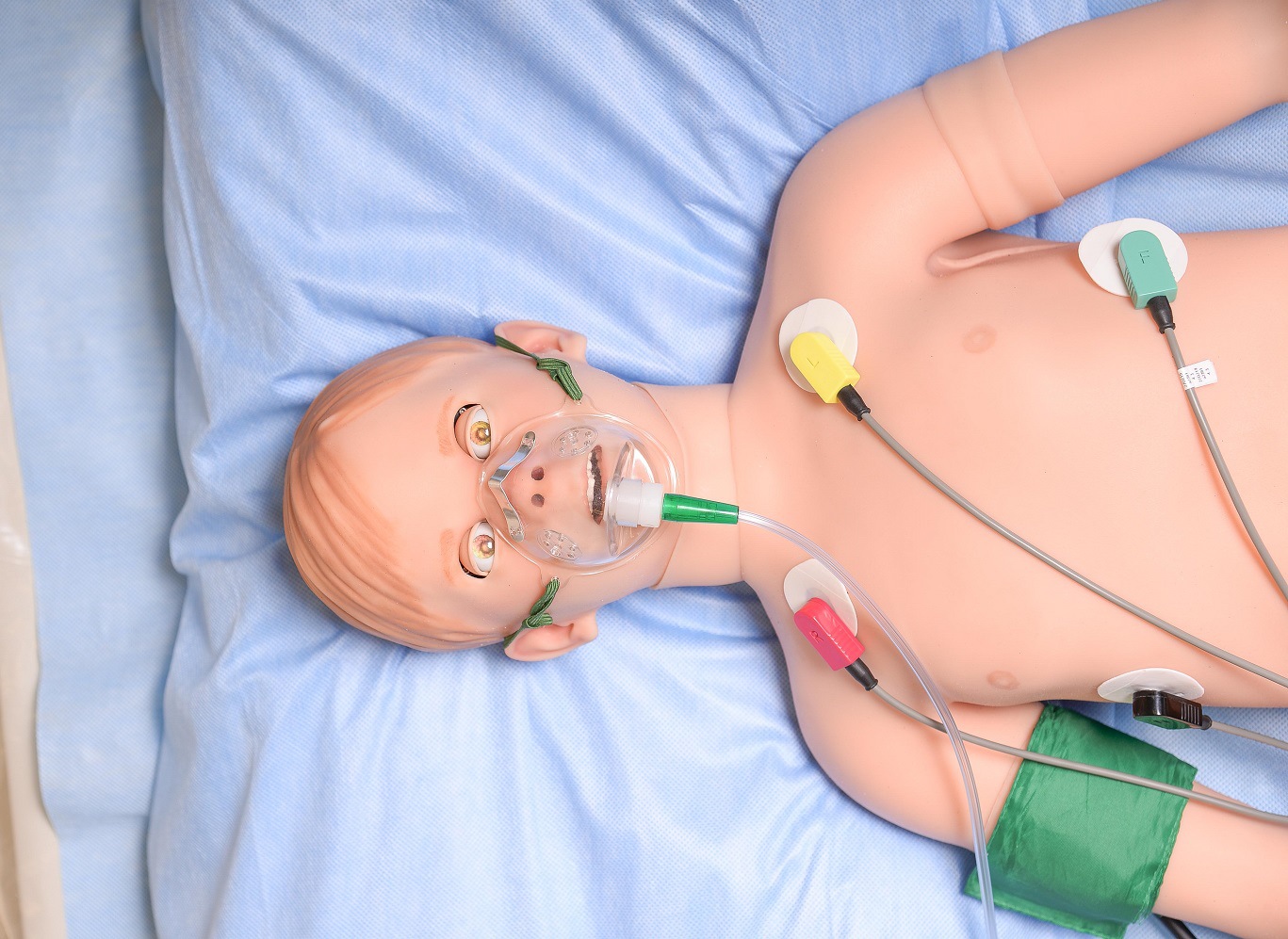 ARTHUR��ɪ���Ӹ߱���ģ����