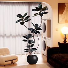 �҃ȴ��ͷ������Լ�ֲ���b���滨��Ƥ�����Gֲ�͏d��ؔ[��