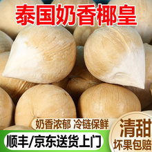 泰椰皇新鲜奶香椰子当季一整箱牛奶椰王大果孕妇水果顺丰包邮