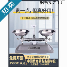 天平称天平秤教具小学二年级初中物理托盘天平称家用实验室高精度