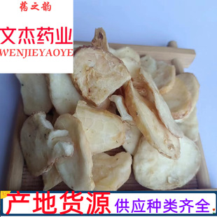 �׸����в�ș�F؛���������Ĕz���Ă�ș�I�����˰׸��ӡ�