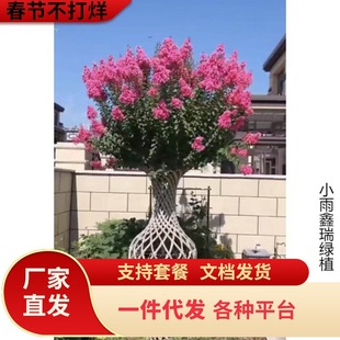 һ�����l��ޱ������ޱ���������Ե��Լt���t�����ޱ��ͥԺ���ܾG