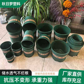 绿色加仑盆阳台绿萝多肉月季培育盆简约塑料花盆厂家多规格种植盆