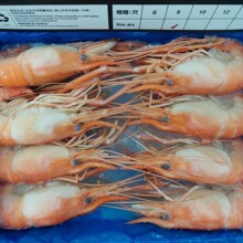 ̩���M���_���r ����_���r �_���r���l 8ֻ/�У�500g��ÿ��10��