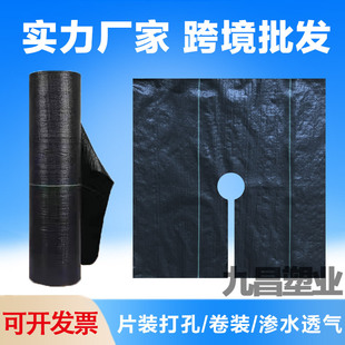 pp�羳�S��ֱ�N���ݲ����l���ݲ�Ƭ�����Ƭ�ڲݲ������w�����@��