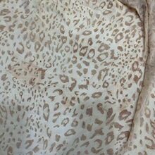 �W������ֲ�q��Ⱦ�����n��W��Խ��ӡ�����Q���ϱ��y���c���̓���