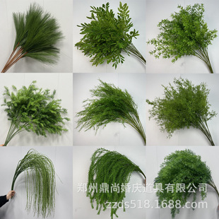 ��c�Gֲ����ֲ��廨�M�����ȼ���ɭϵ�ٻ�������Y�Y���b���