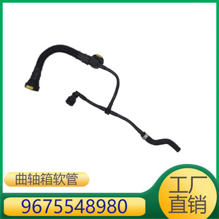 �m���ѩ�F��C4L--C6����308--5008 ���S��ܛ�� 9675548980