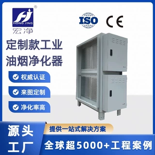 定制油烟净化器静电式不锈钢电场商用酒店学校食堂厨房环保检测