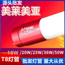 LED灯管美莱美亚T8灯管1.2米30W40W50W高亮双端白光圆形玻璃灯管