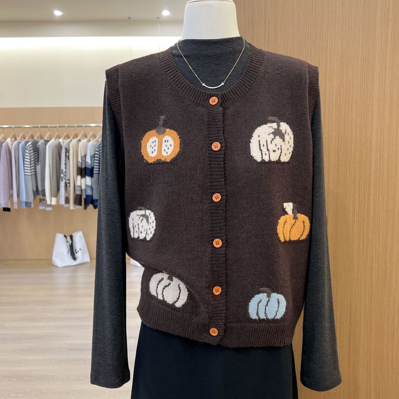 Old Money Style Retro Super Nice Top Brown Pumpkin Knitted Vest Sweater Vest for Women 2025 Autumn and Winter Outer Wear