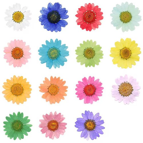 Pressed Flower Jelly Case, DIY Bookmarks, Greeting Cards, Fans, Handmade Materials