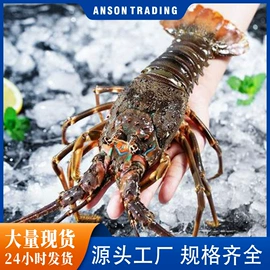 鱼类;虾类;贝类