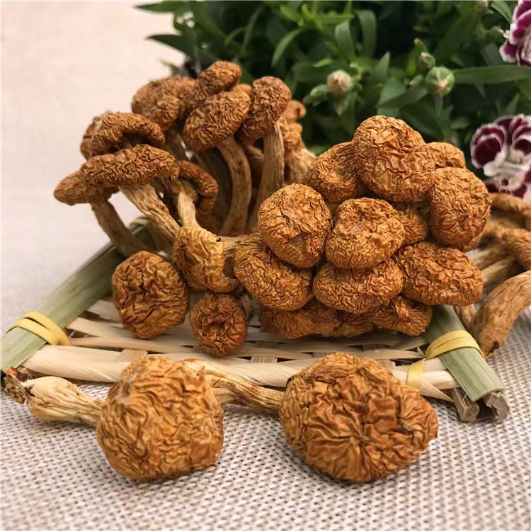 Direct Shipping from Origin Place] Gu Tian Specialty Dry Shimei Mushroom Bulk Wholesale Shimei Mushroom Mushroom Pearl Mushroom Dry Goods