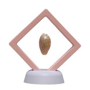 С����ؐ��ϡ�Ќ��ݘ˱��~��ˮ���쾰������ղؔ[���b�Ʒ